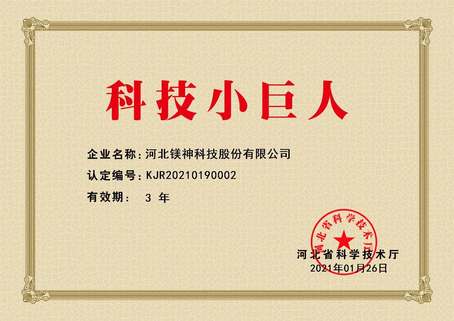 科技小巨人證書 科技小巨人證書