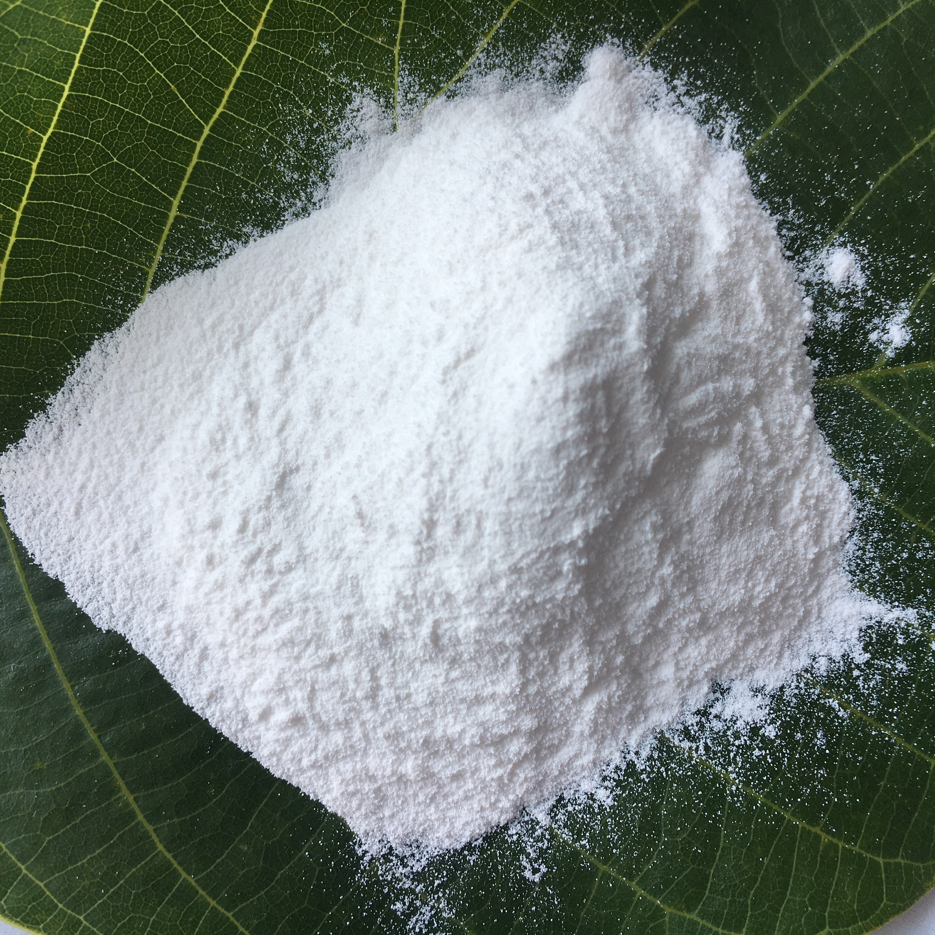 <a href='http://m.jinshusc.com' class='keys' title='點(diǎn)擊查看關(guān)于氧化鎂的相關(guān)信息' target='_blank'>氧化鎂</a>