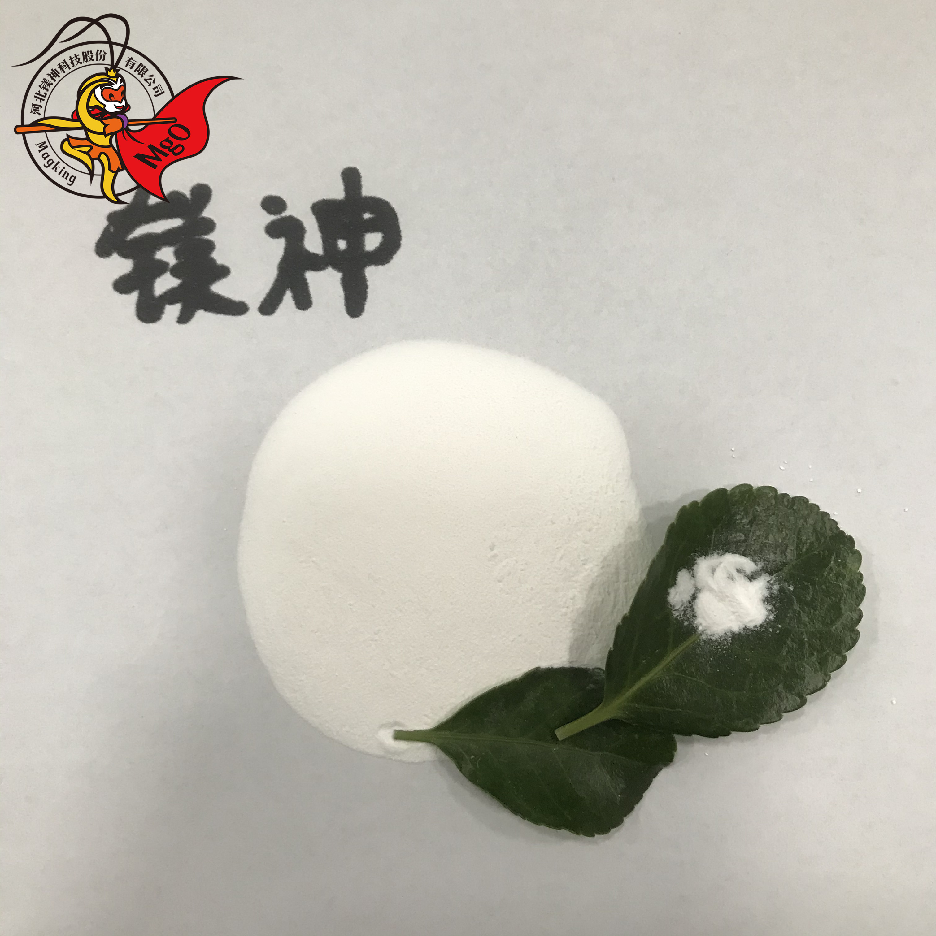 <a href='http://m.jinshusc.com' class='keys' title='點擊查看關于氧化鎂的相關信息' target='_blank'>氧化鎂</a>